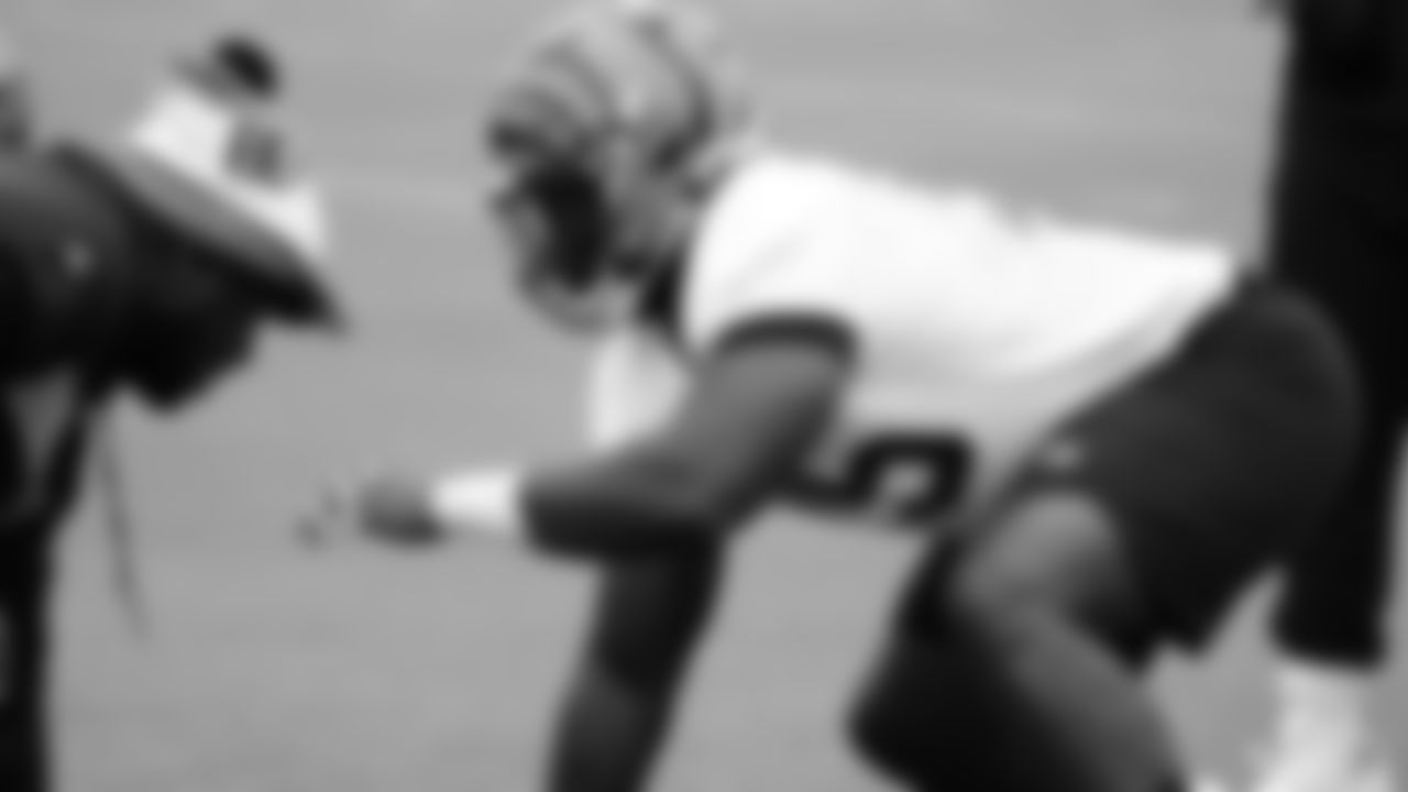 DT Renell Wren