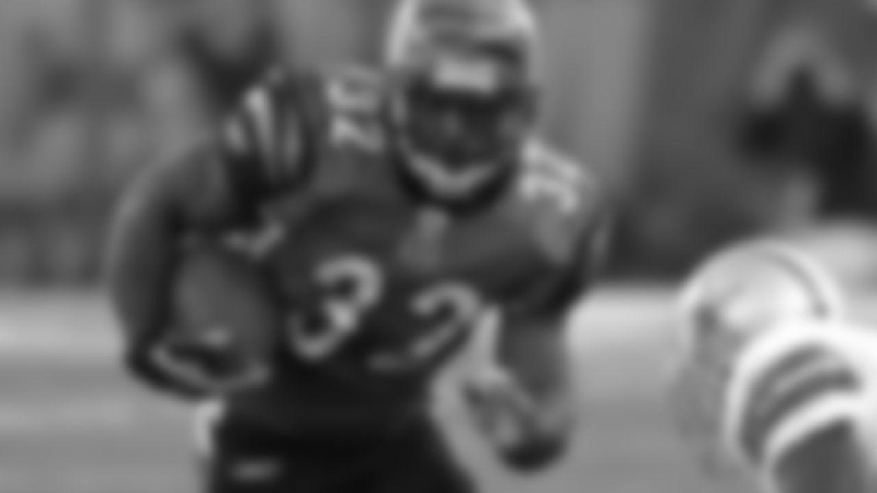 RB Rudi Johnson