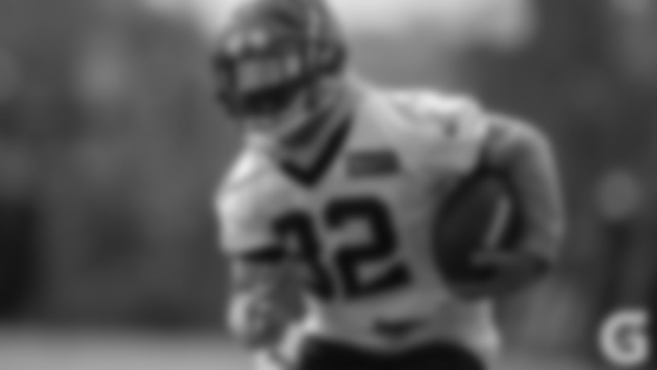 Bengals running back Trayveon Williams