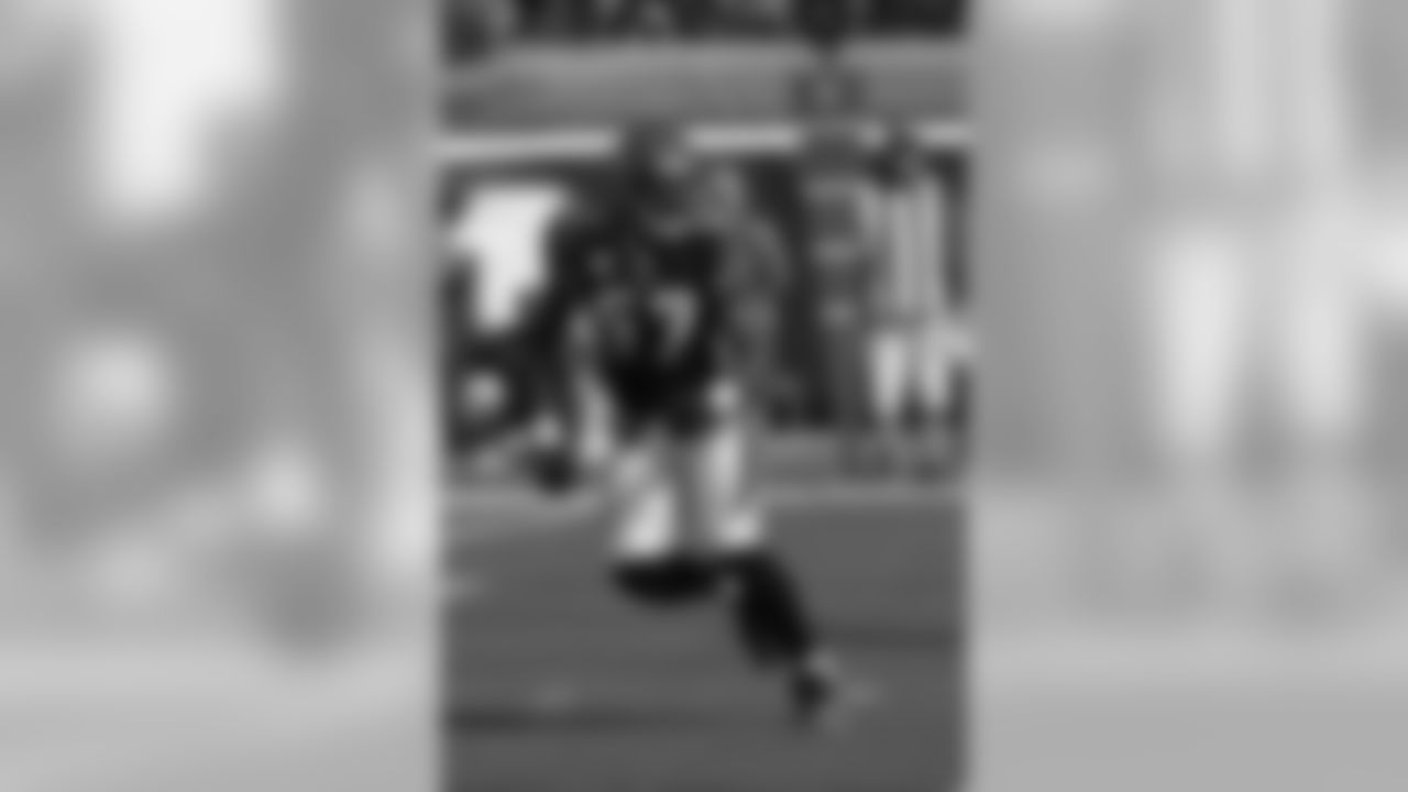 Dolphins-Bengals Gallery (10/31/10)