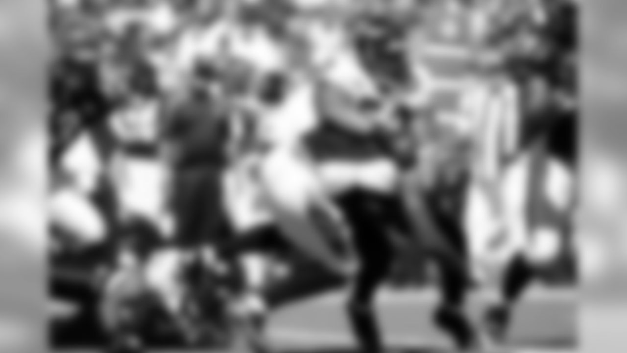 Bengals Photo