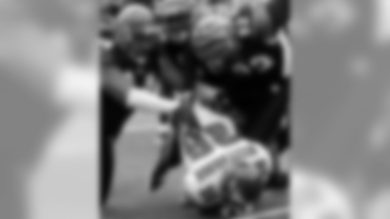 Bengals Photo