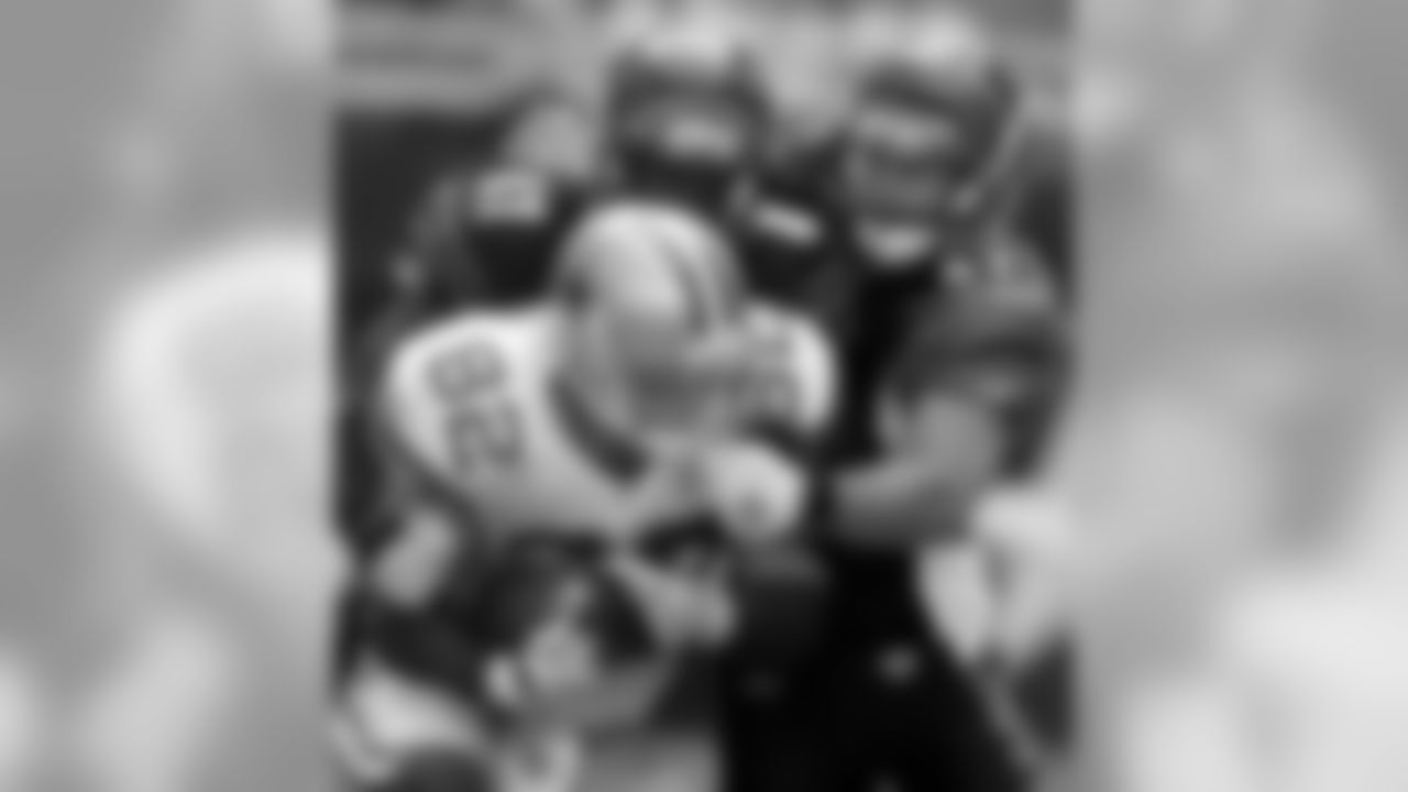 Bengals Photo