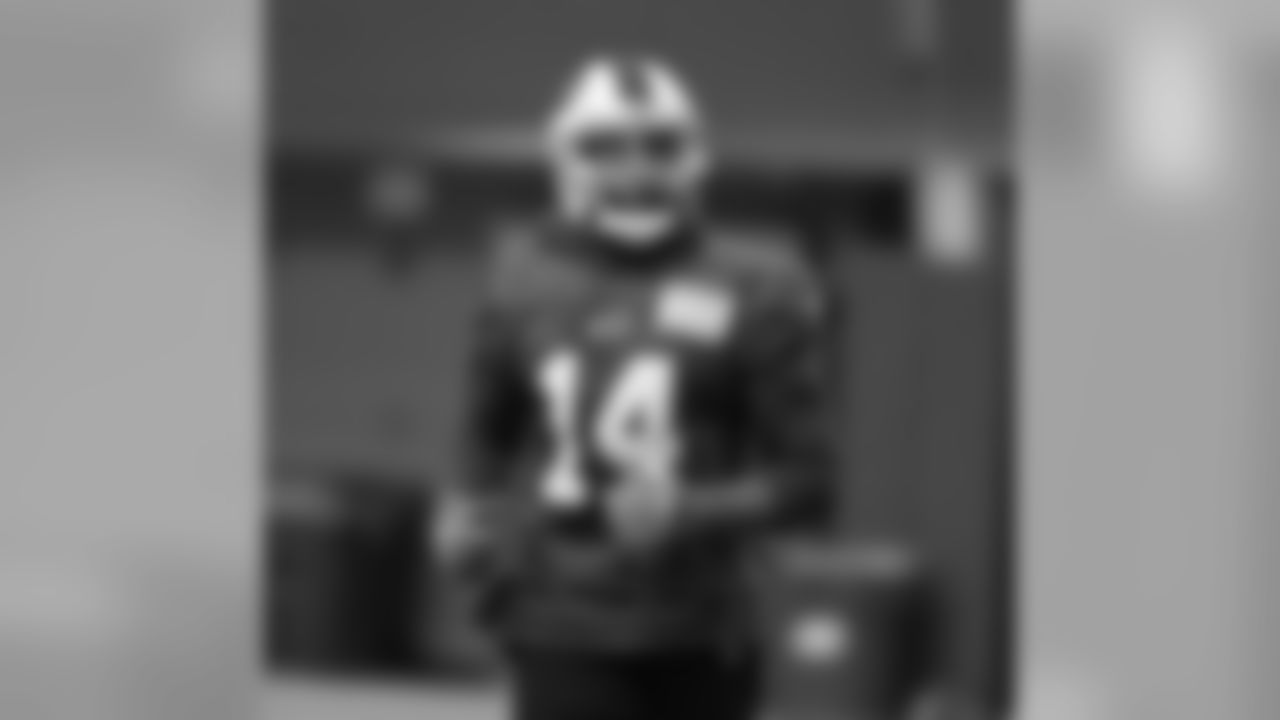Joe Webb #14, QB