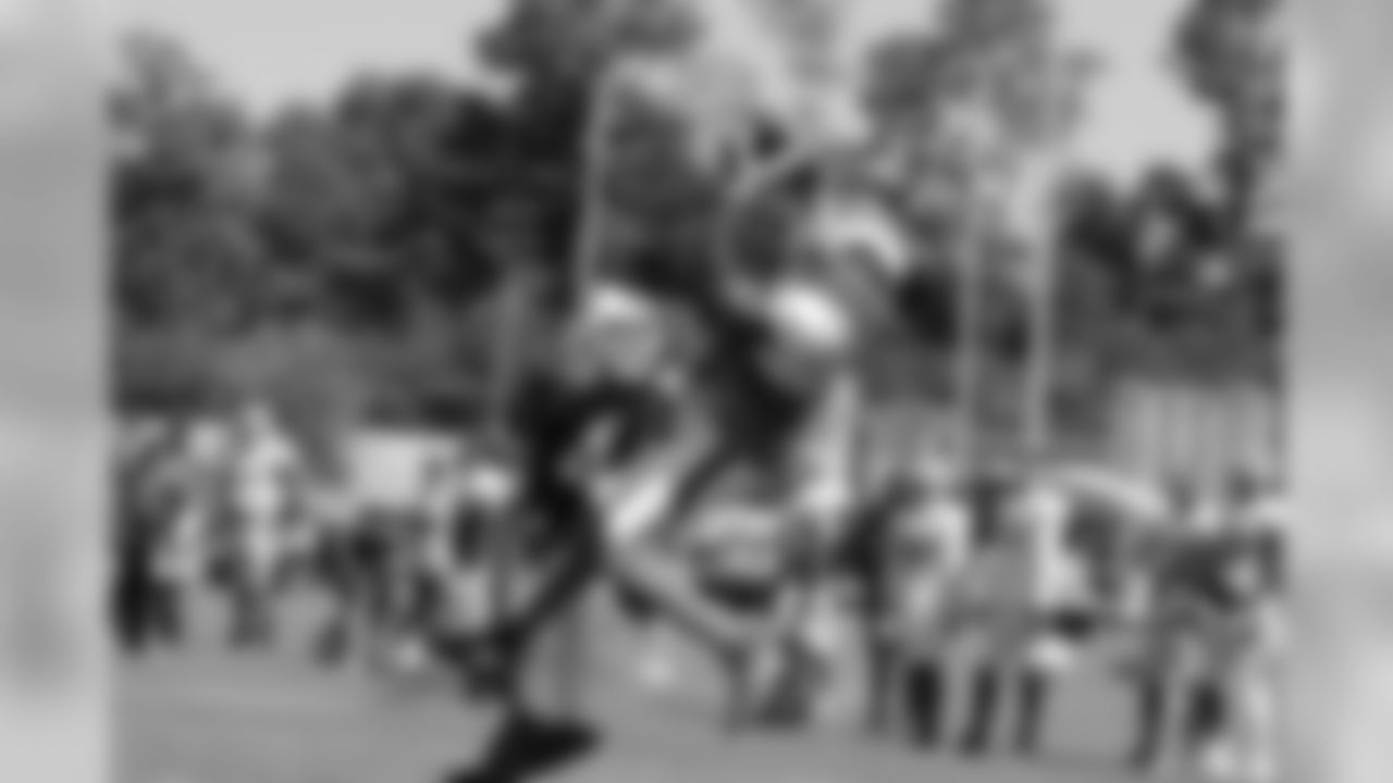 Wide receiver Jarett Boykin (17) catches a pass in the air.