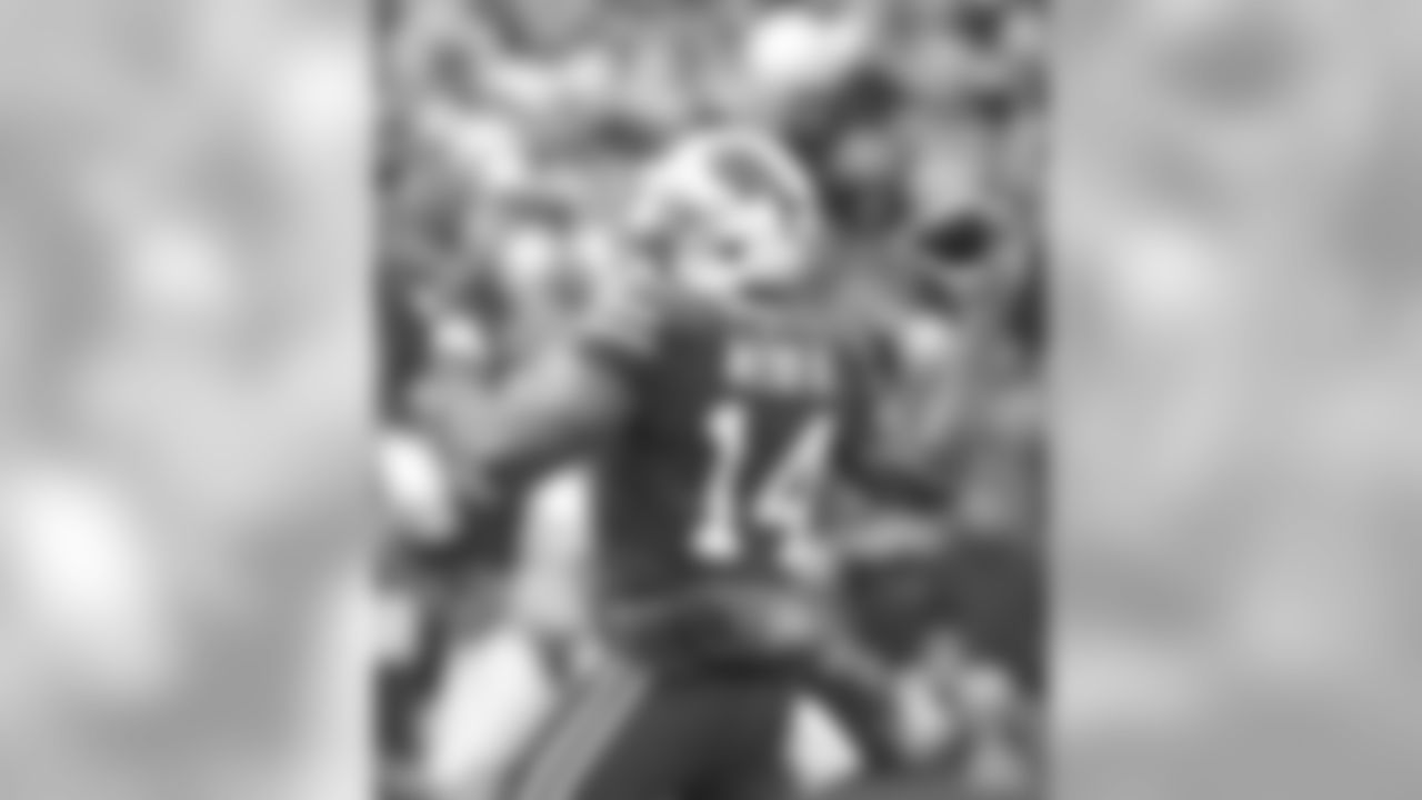 Joe Webb #14, QB