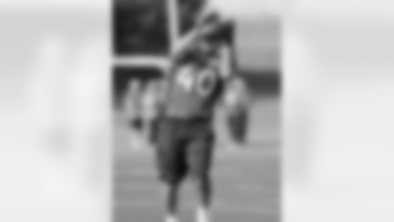 The team's newest member, FB Jacob Hester, practices his receiving skills.