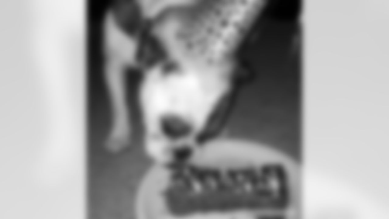 Inside linebacker Brandon Marshall's pup just celebrated her birthday