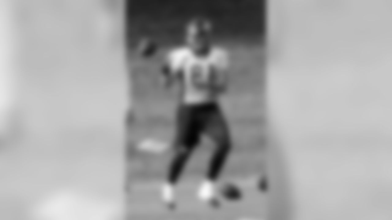 TE Joel Dreessen catches a pass.