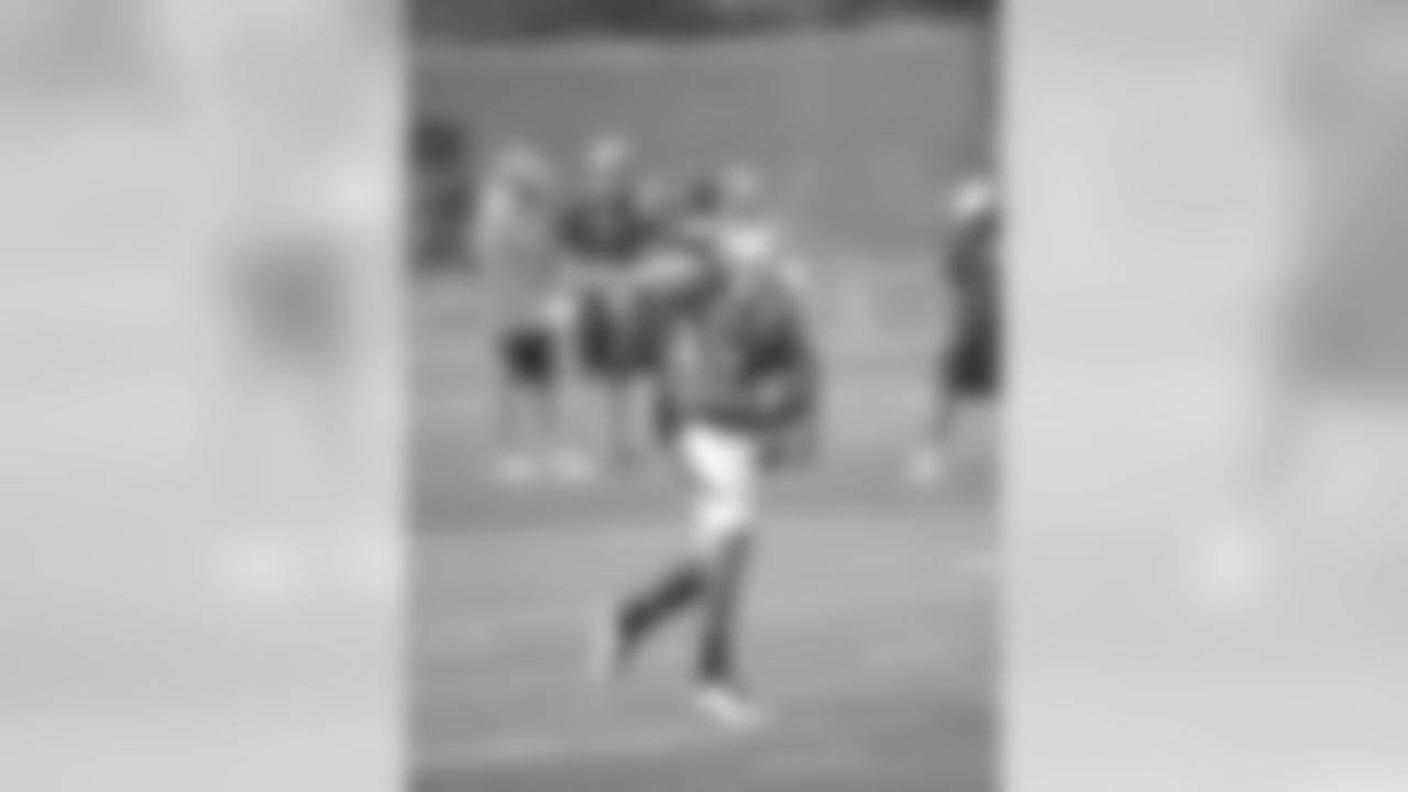 WR Emmanuel Sanders