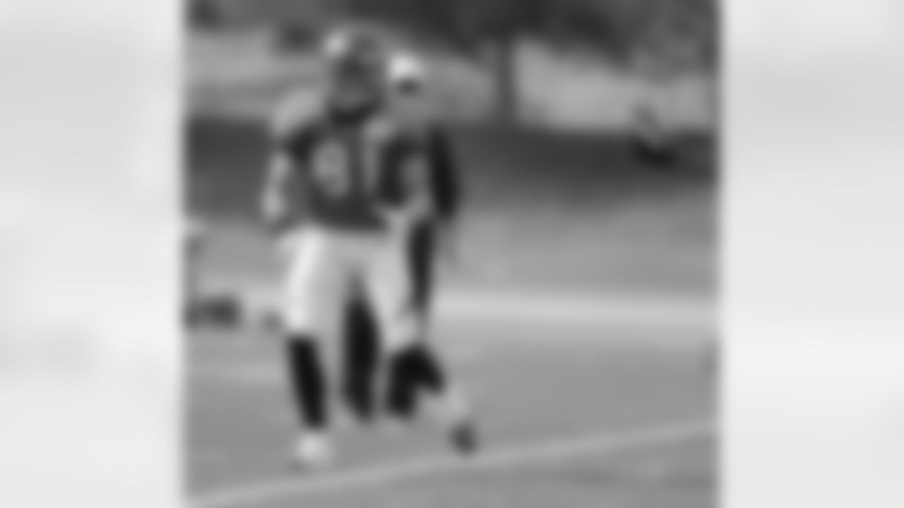 TE Joel Dreessen looks in a catch.
