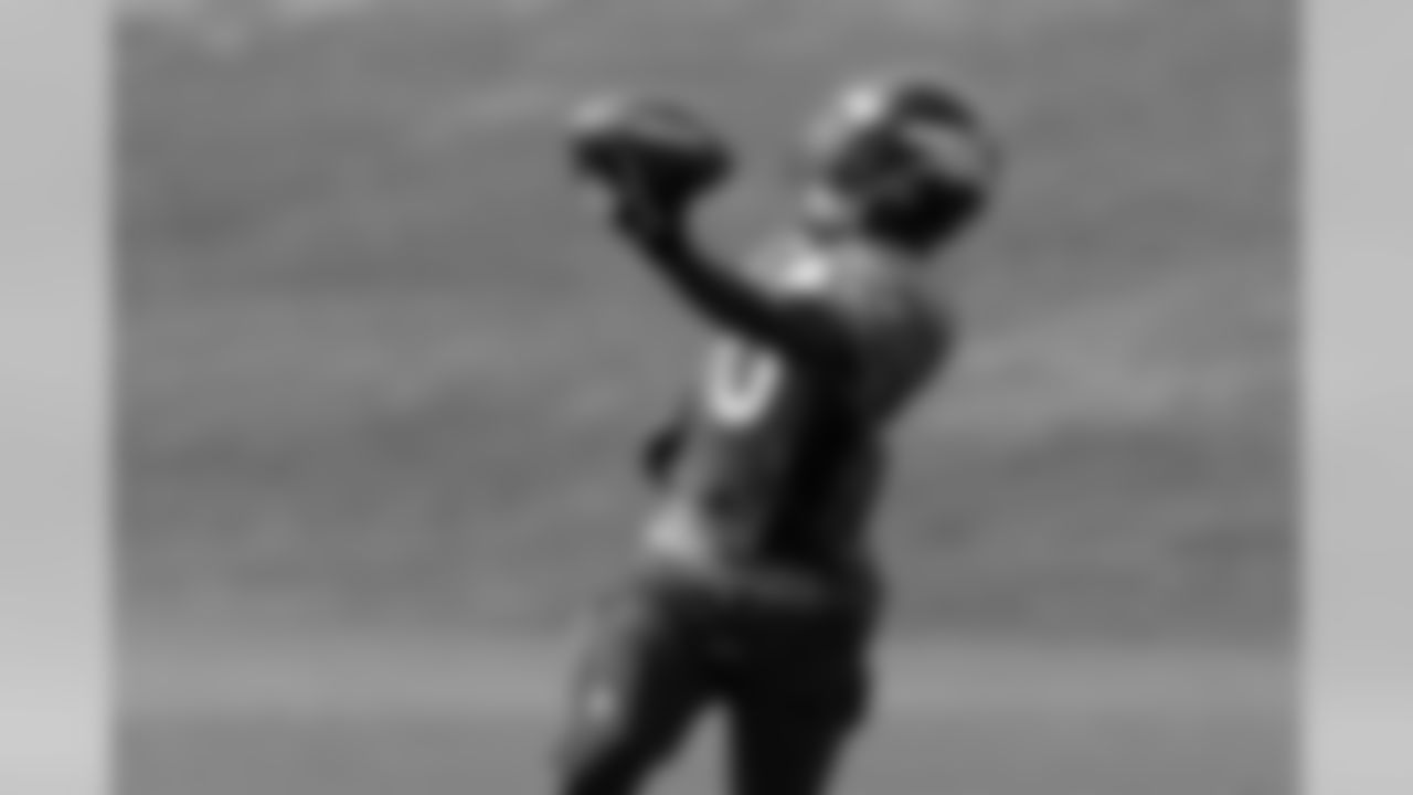 WR Emmanuel Sanders