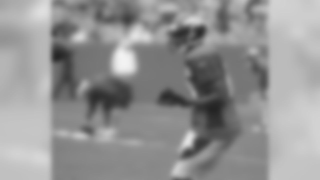WR Emmanuel Sanders