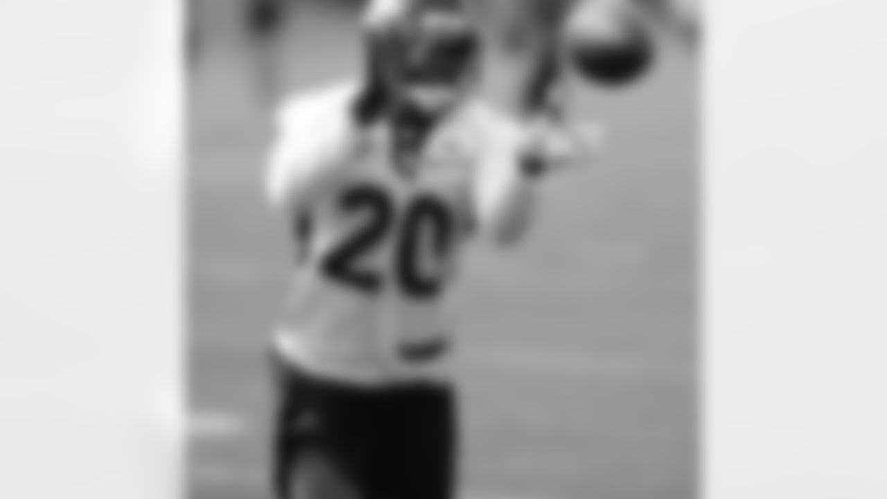 S Mike Adams focuses on making a catch.