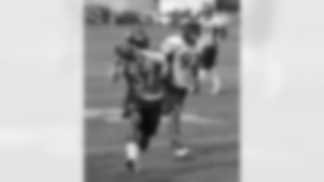 Johnson makes a grab out of the backfield.
