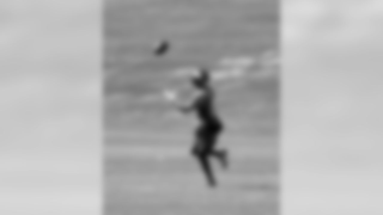 WR Emmanuel Sanders
