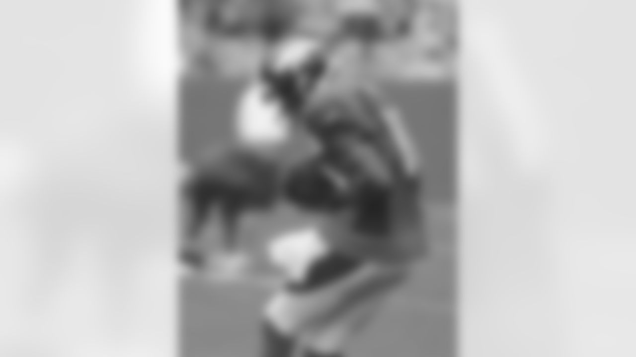 WR Emmanuel Sanders