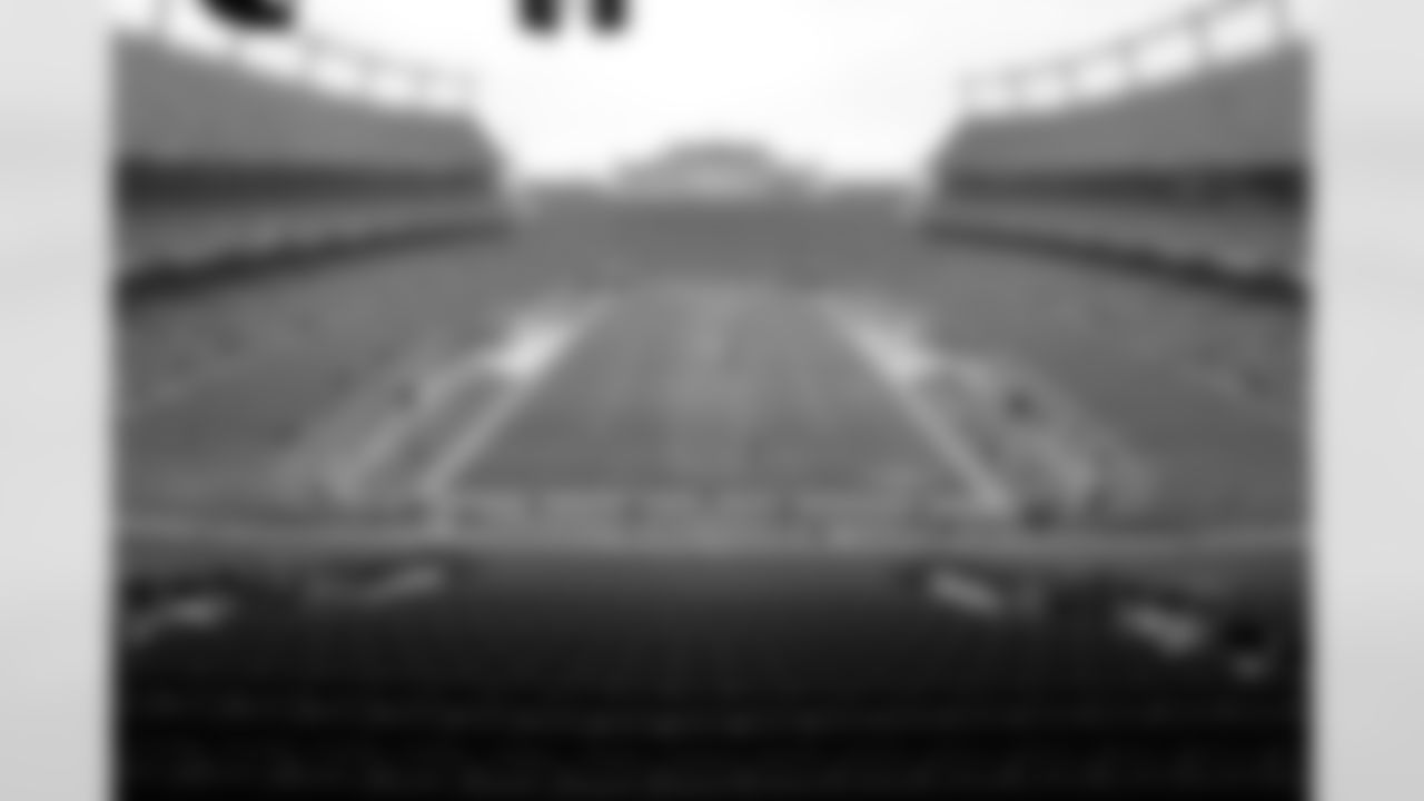 The field after the tarp was removed.