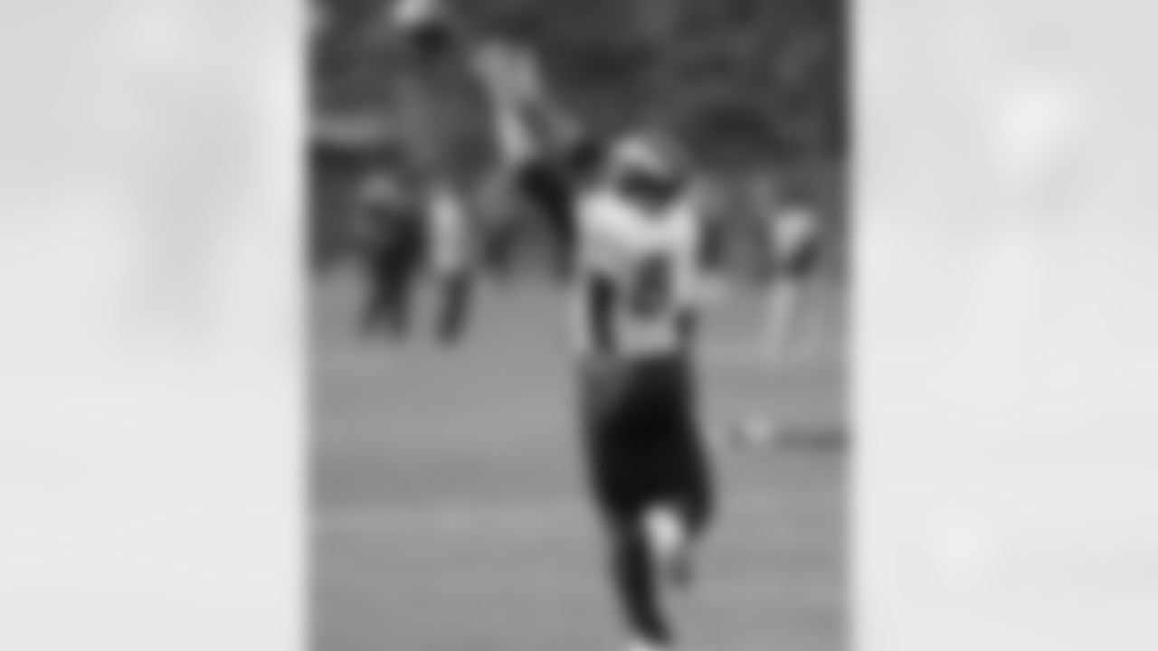 TE Joel Dreessen turns back to make a catch.
