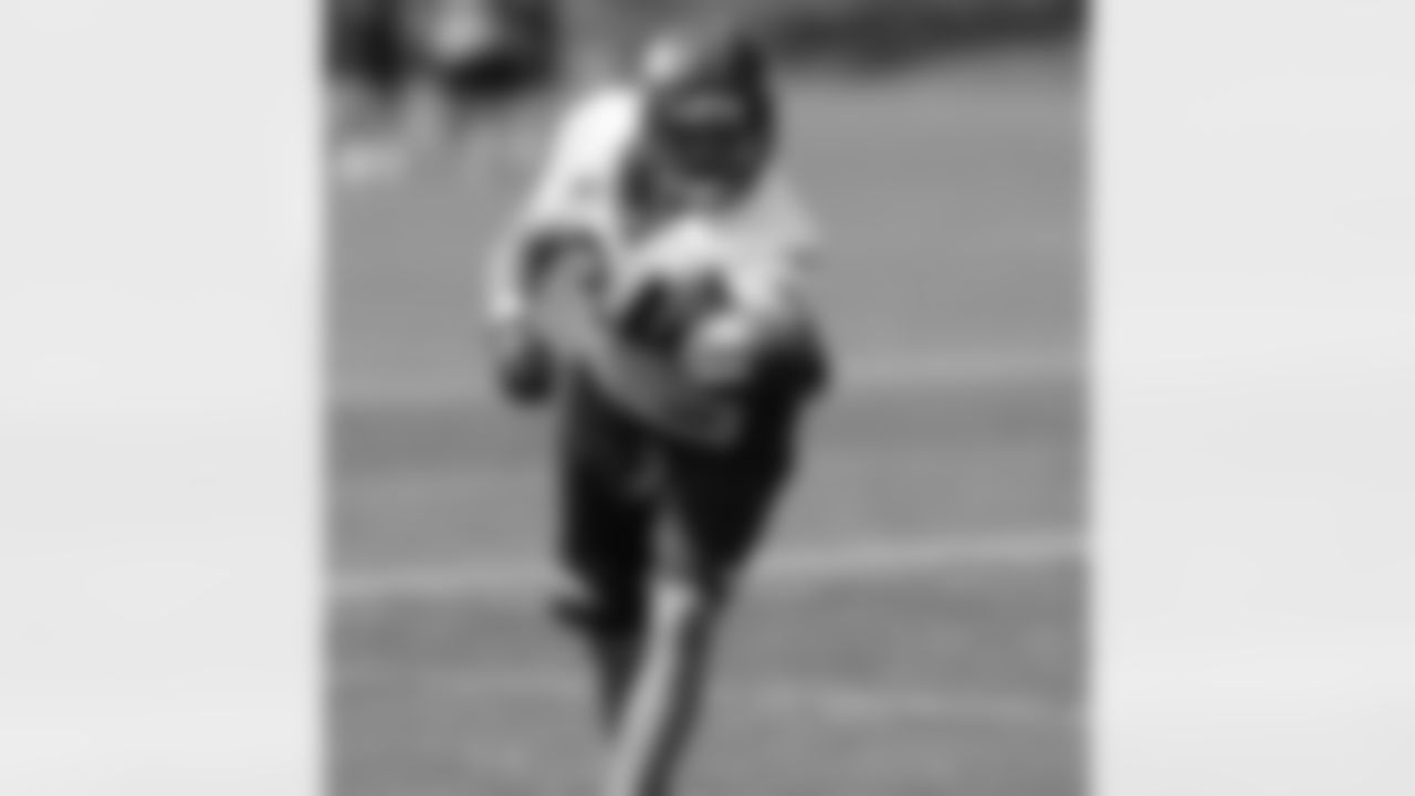 TE Jacob Tamme makes a one-handed grab.