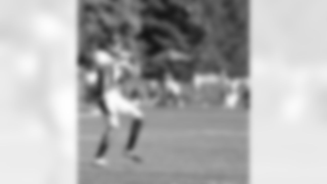 Willis looks in a catch.