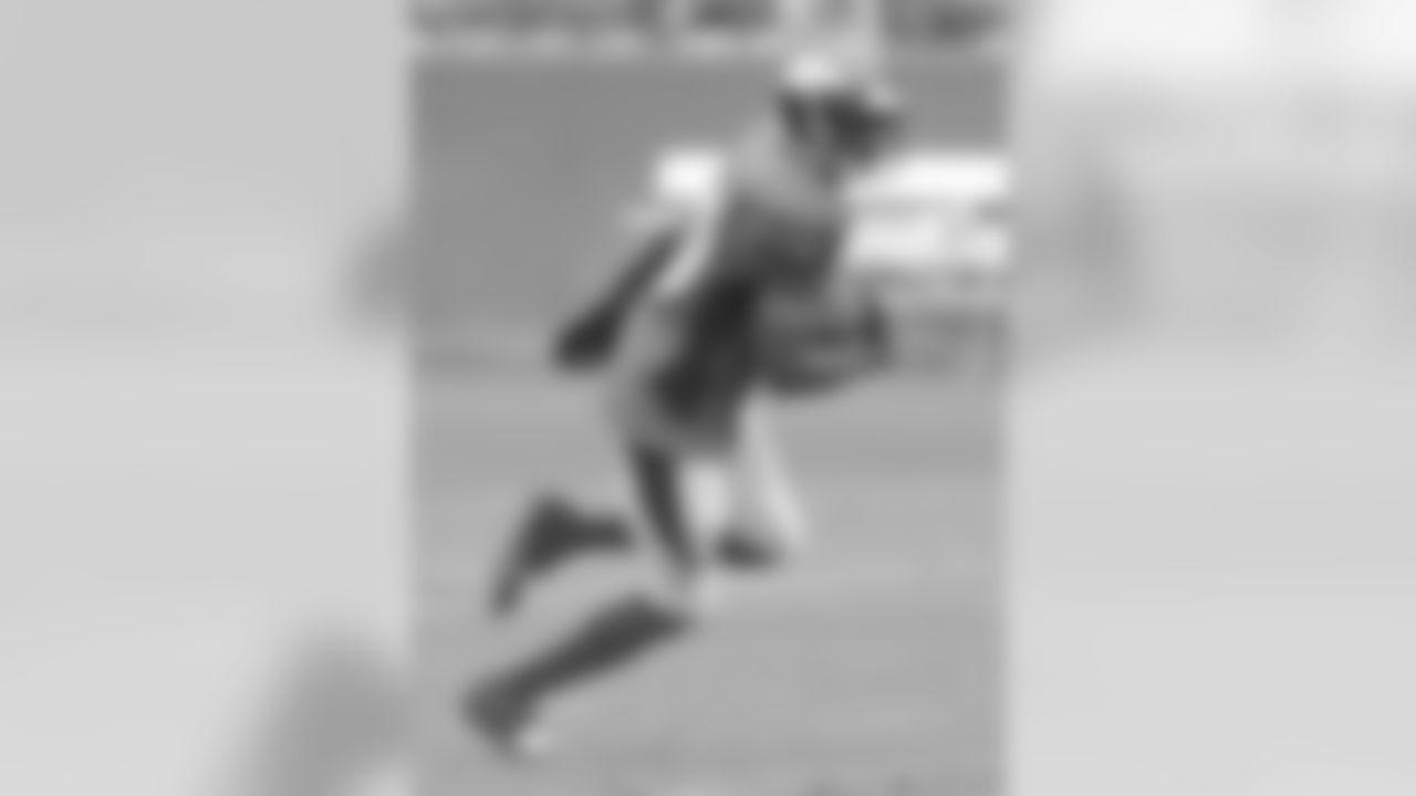 WR Emmanuel Sanders