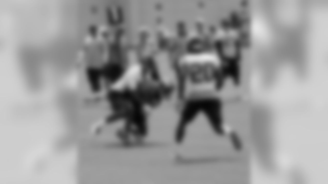 WR Emmanuel Sanders