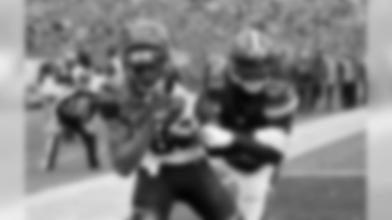 2015 stats: 65 rec., 816 yards (12.6 yards per rec.), 4 rec. TD
Career stats: 134 rec., 1,729 yards (12.9 yards per rec.), 15 rec. TD, 4 NFL seasons