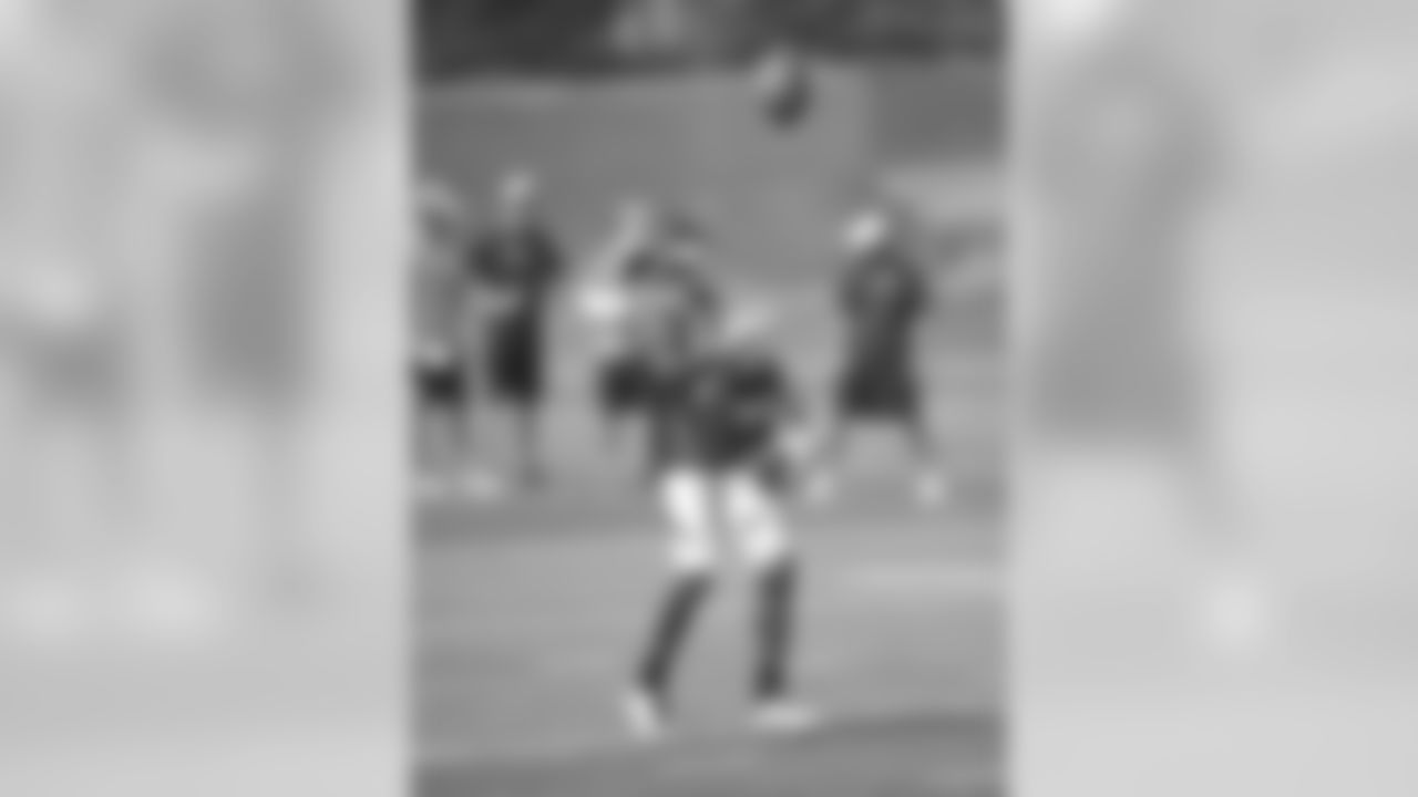 WR Emmanuel Sanders