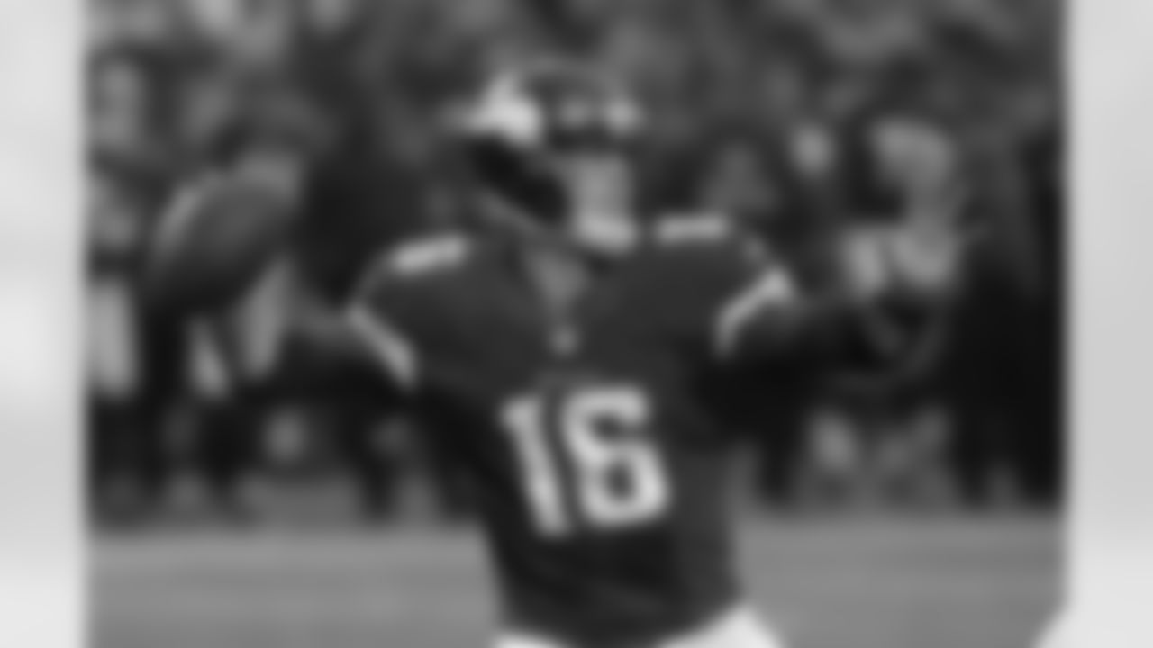 Matt Cassel