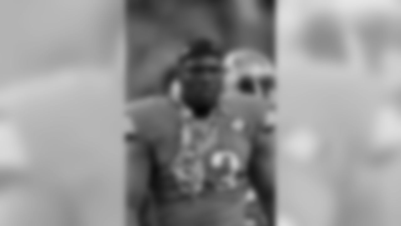 Lions defensive end George Johnson, unrestricted free agent