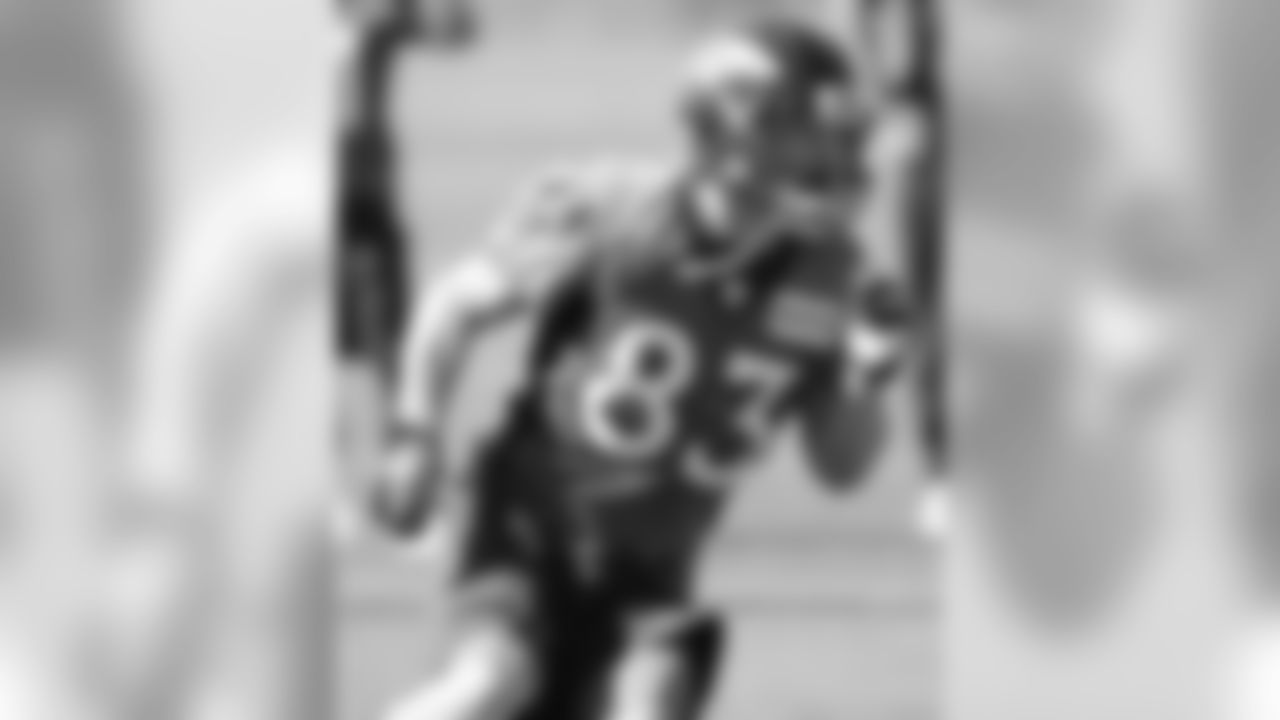 Wes Welker