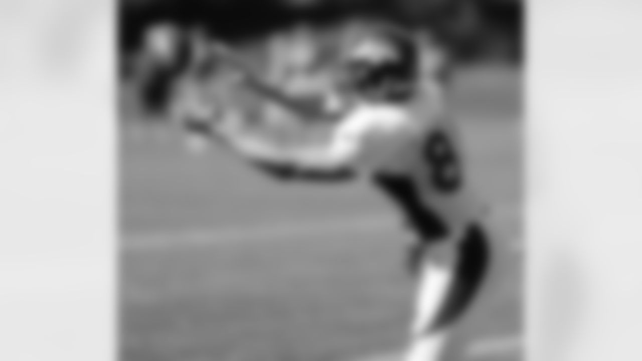 TE Joel Dreessen reaches out to make a catch.