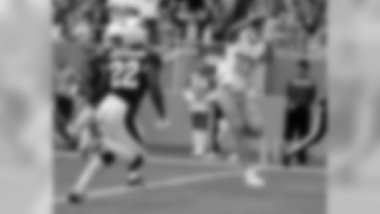 A solid bounce-back season after he struggled in 2015 got him on the right track, and offered assurance that his career-worst campaign of 2015 was an aberration. Stills can stretch the field, evidenced by his career average of 16.7 yards per reception. Dropped passes remain a problem, however.