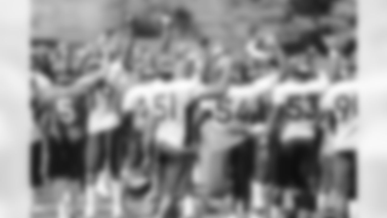 Team Breakdown