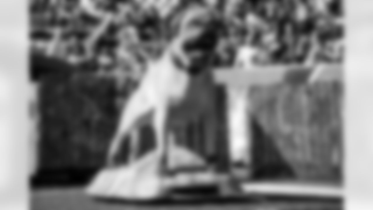 One of the player introduction dog statues before a NFL football game between the New England Patriots and Cleveland Browns on on October 16, 2022 at FirstEnergy Stadium.