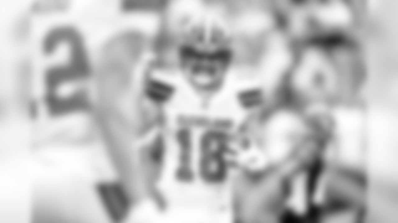 The Cleveland Browns play the Cincinnati Bengals in Week 17.