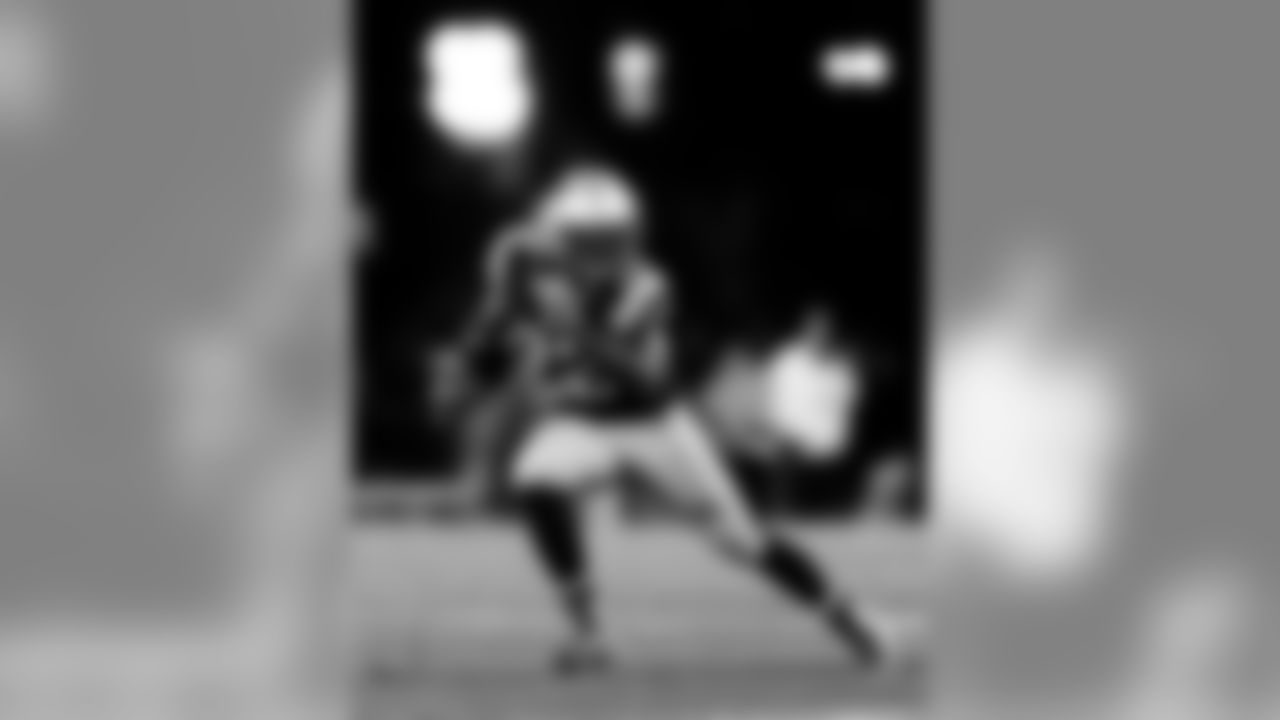 Stevan Ridley
