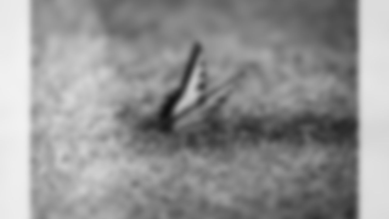 A butterfly during Day 3 of Training Camp at The Greenbrier on July 27, 2023.