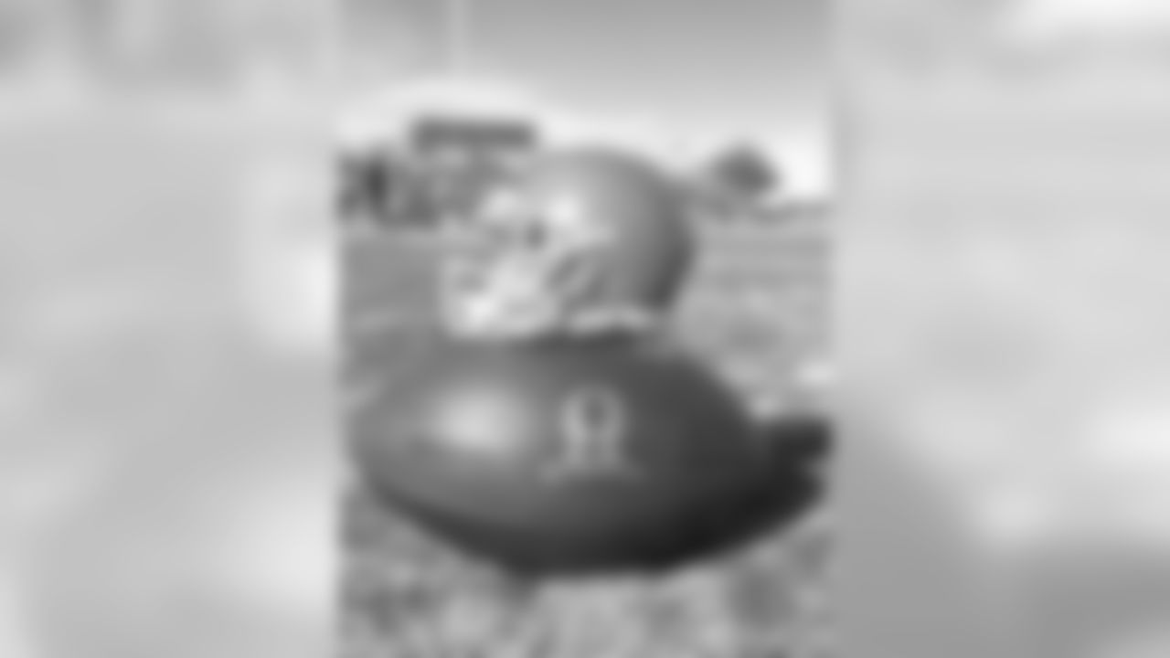 Cleveland Browns at the 2015 Pro Bowl
