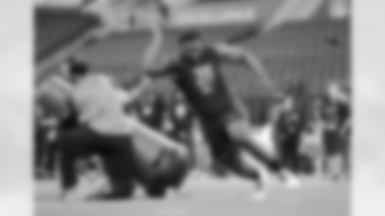 DL Larry Ogunjobi