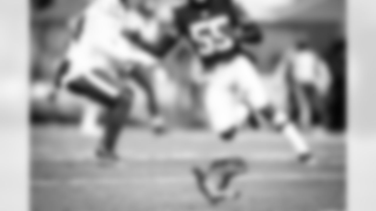 A pigeon during a NFL football game between the Houston Texans and Cleveland Browns on November 15, 2020 at FirstEnergy Stadium. The Browns won 10-7.