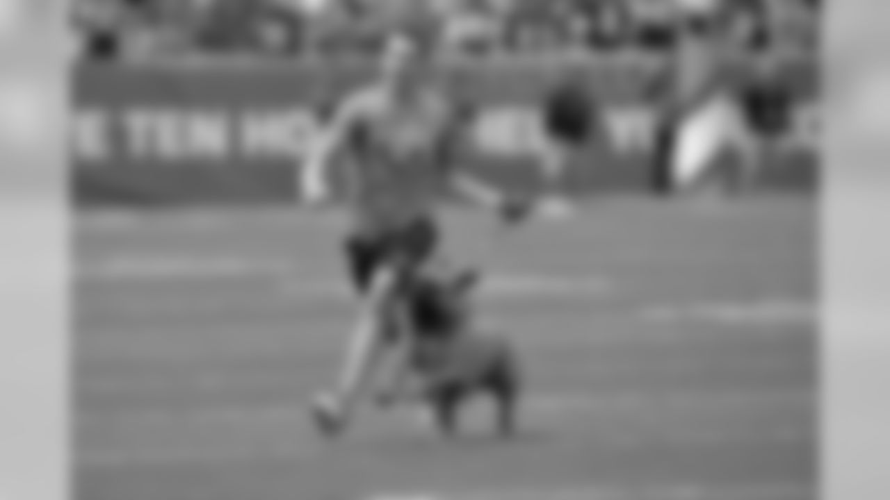 Cleveland Browns bullmastiff mascot Swagger runs on the field prior to an NFL football game between the Cleveland Browns and the New Orleans Saints Sunday, Sept. 14, 2014, in Cleveland. Cleveland won 26-24. (AP Photo/David Richard)