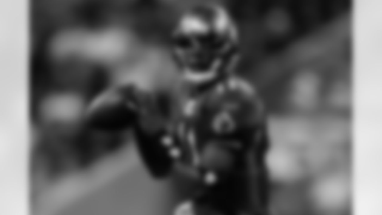 11 QB Josh Johnson drops back to make a pass
