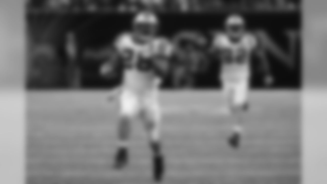 Jonathan Stewart - RB #28