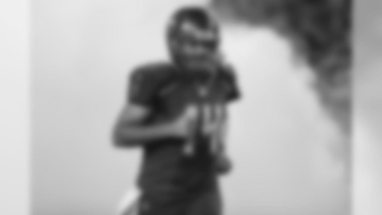 QB Ryan Fitzpatrick, No. 14
