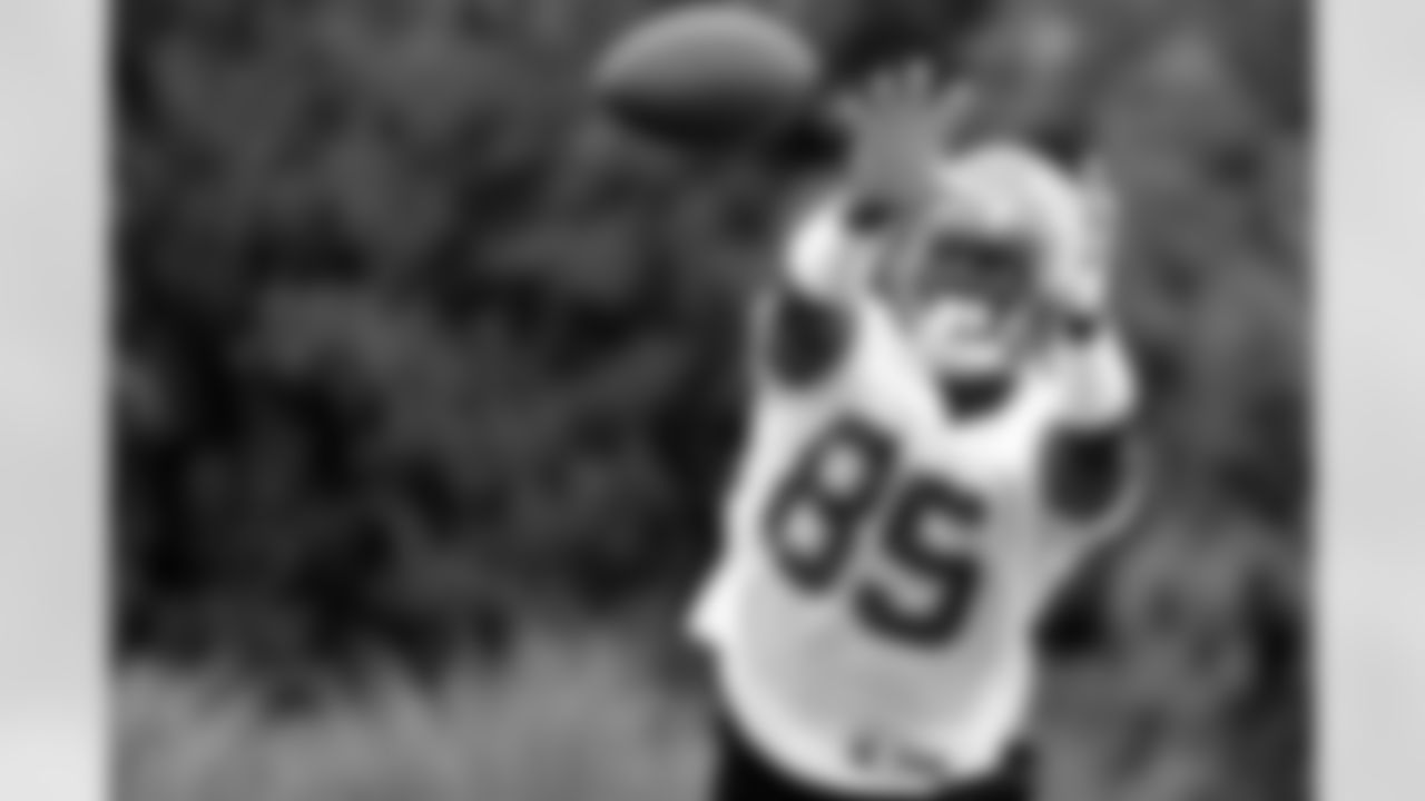WR Maurice Stovall extends as far as he can to make a catch