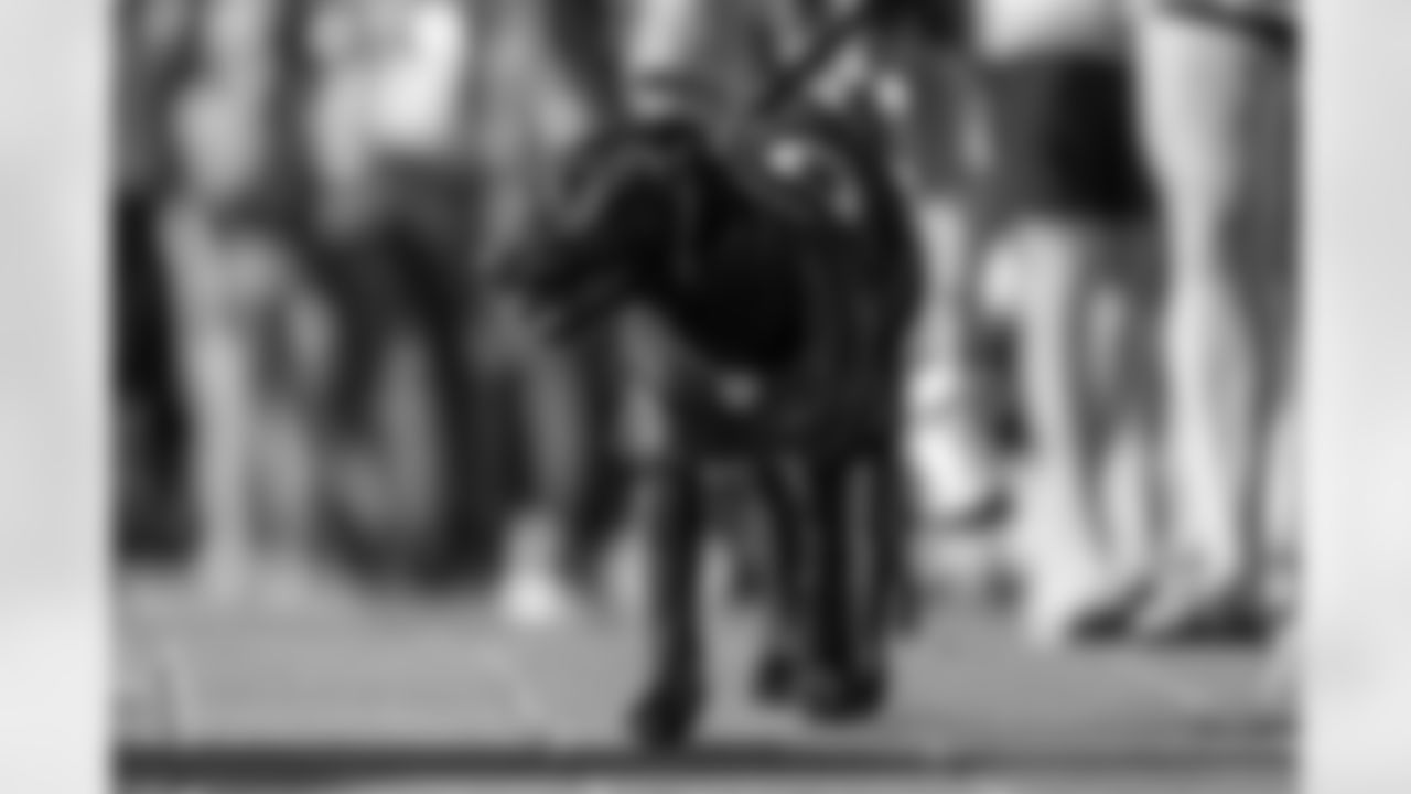 210205_MC_DowntownTampaScenes_0018