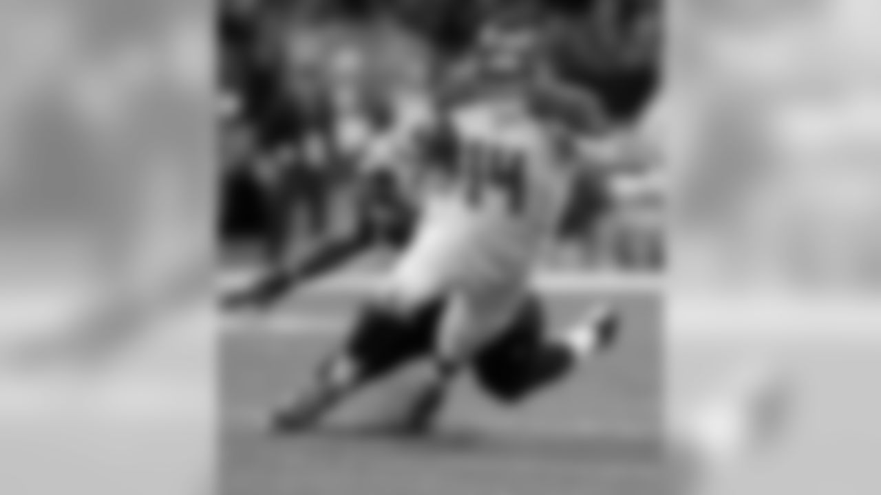QB Ryan Fitzpatrick