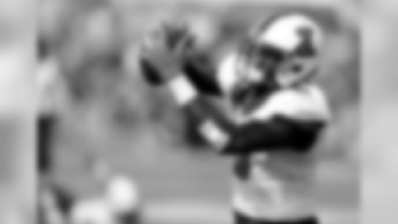 WR Geronimo Allison, Illinois